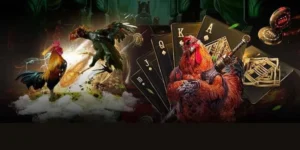 Hướng Dẫn Cách Chơi Đá Gà GA28 Tại 789P Hiệu Quả Nhất