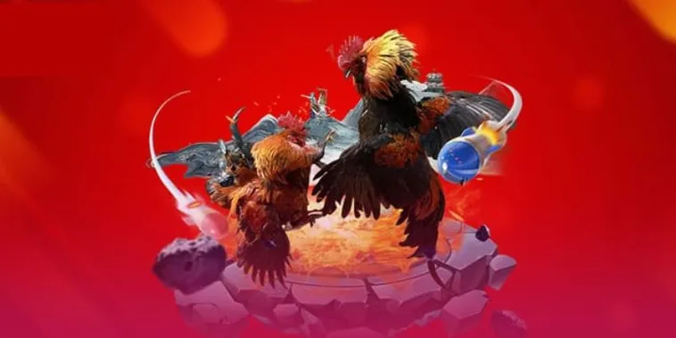 Đá Gà 789P - Hướng Dẫn Chi Tiết Và Kinh Nghiệm Chơi Đá Gà Online